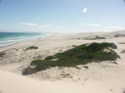 15pict0101.jpg