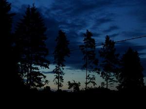 06210068.jpg 800x600 33 KB 06210068.jpg