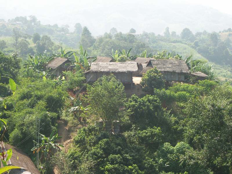 cimage001.jpg